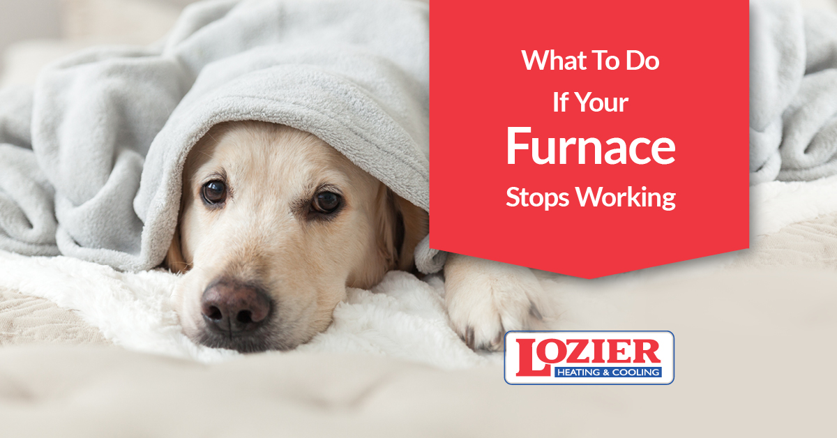 Furnace Stopped Working? Try These Furnace Troubleshooting Tips