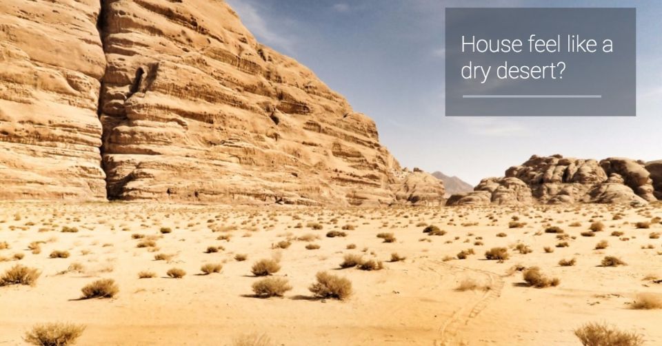 How a Humidifier Can Help During the Winter