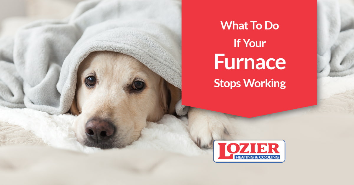 What to do if your furnace stops working blog image.
